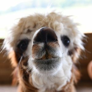 Meet your Posher, Mindi